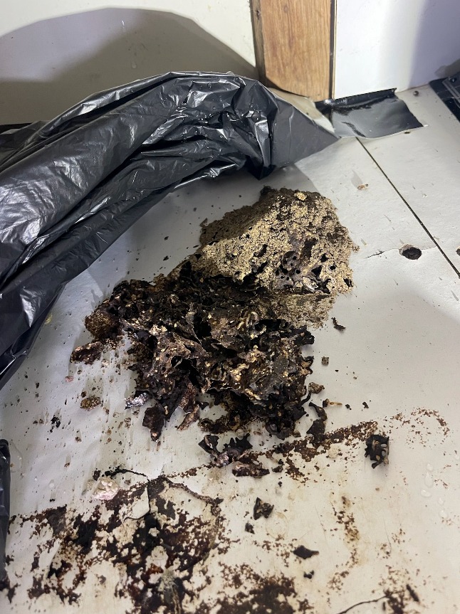 Termite damaged timber showing hidden termite damage in a Kingscliff property